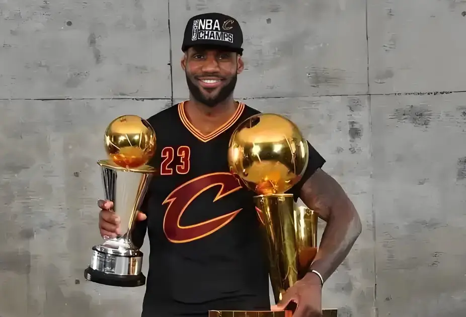 由于当年度 由于当年度