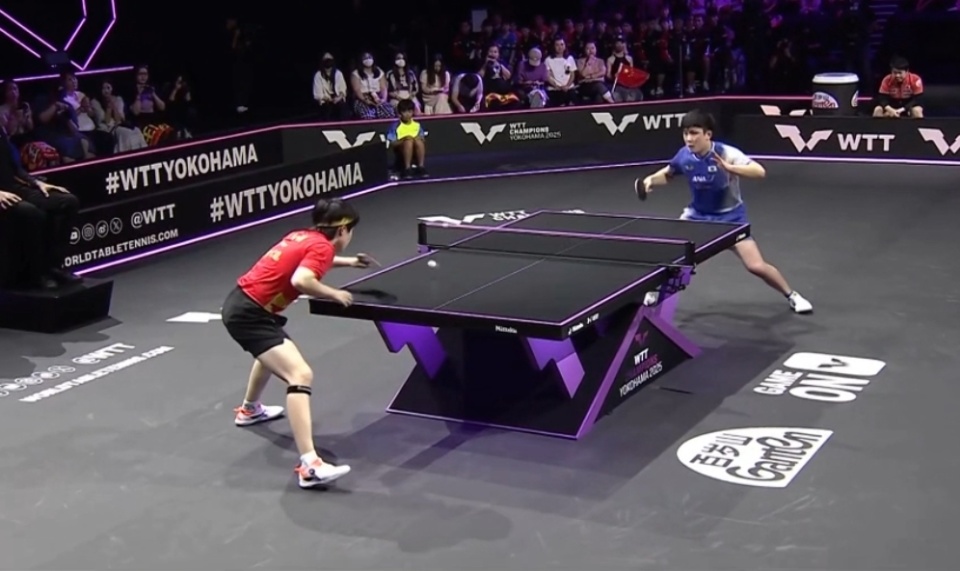 日下午, NvSWT, 领先