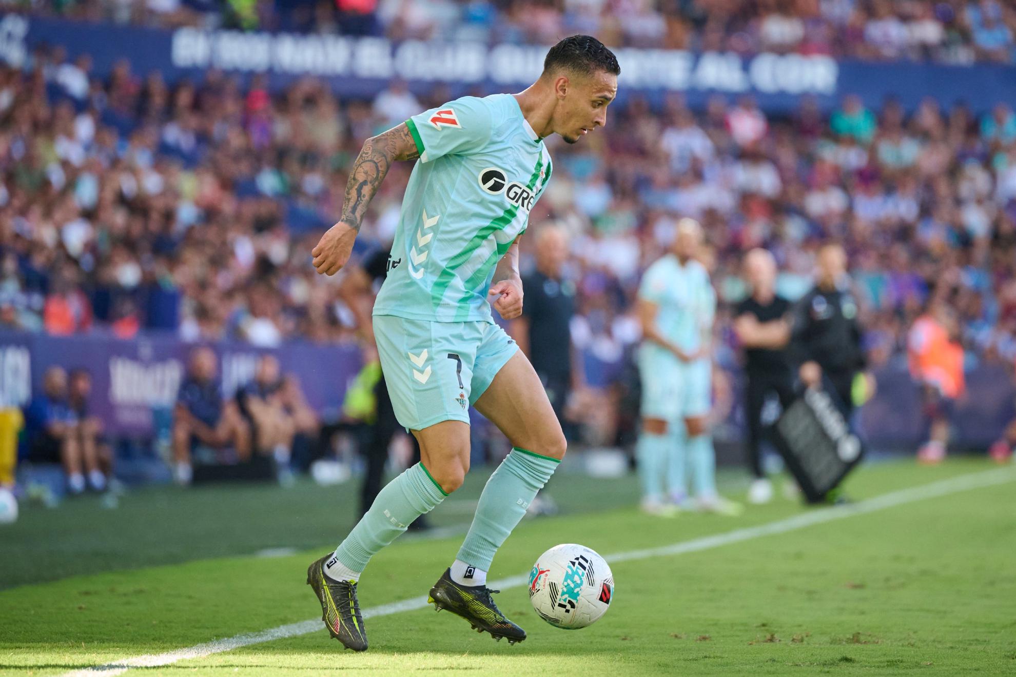 洛塞尔索或, 林默契无间, ms