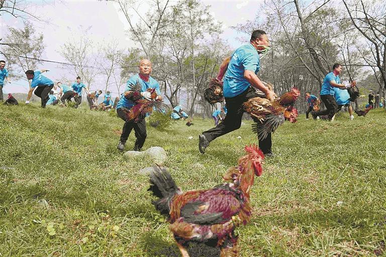 本报讯, 传统品牌活 本报讯, 传统品牌活