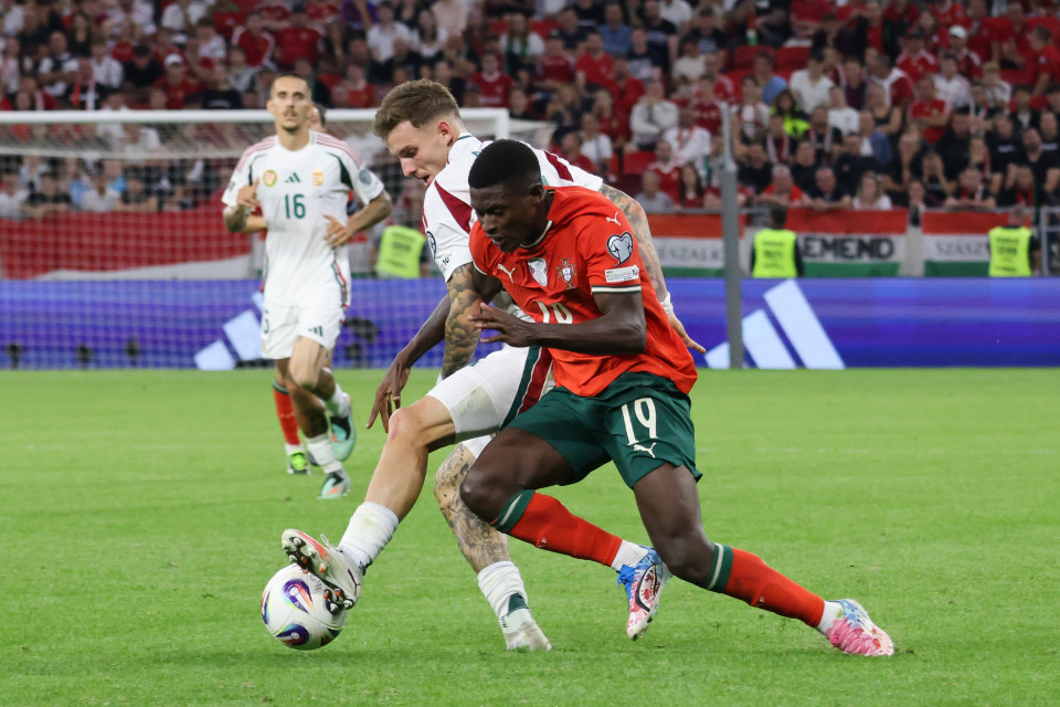 葡萄牙队球, img 葡萄牙队球, img