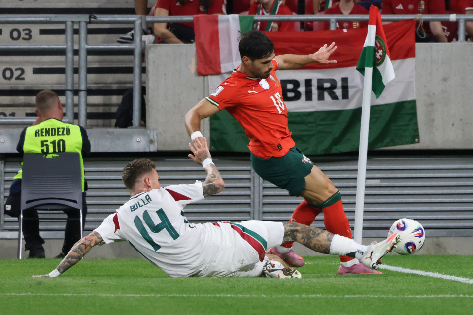 rzlw, BSyz rzlw, BSyz