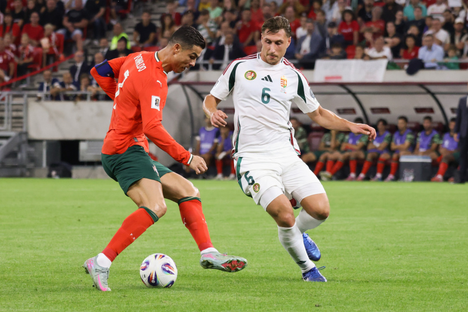 FIT, 球员博洛拼 FIT, 球员博洛拼