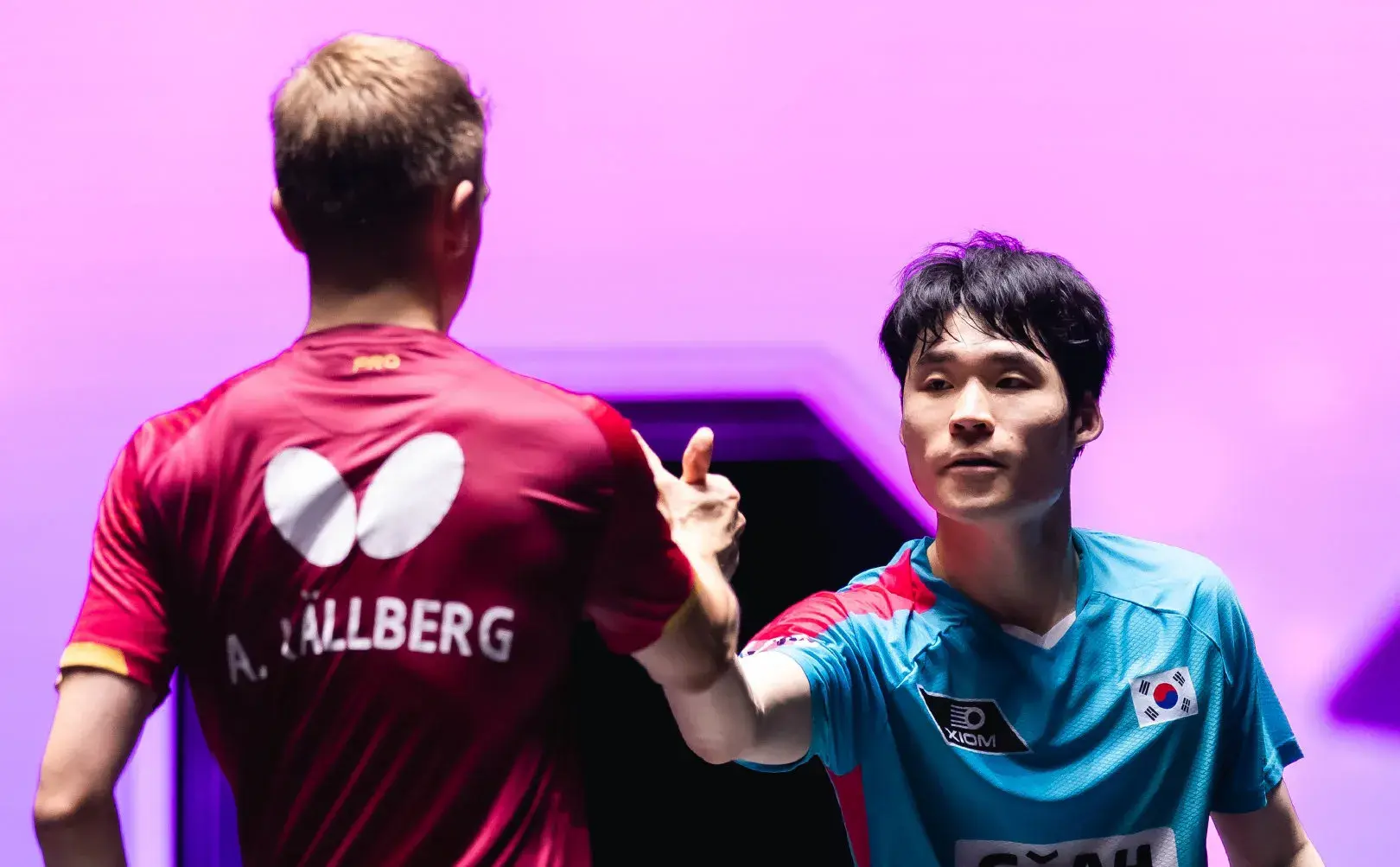 零横扫薛飞, 攻的压制