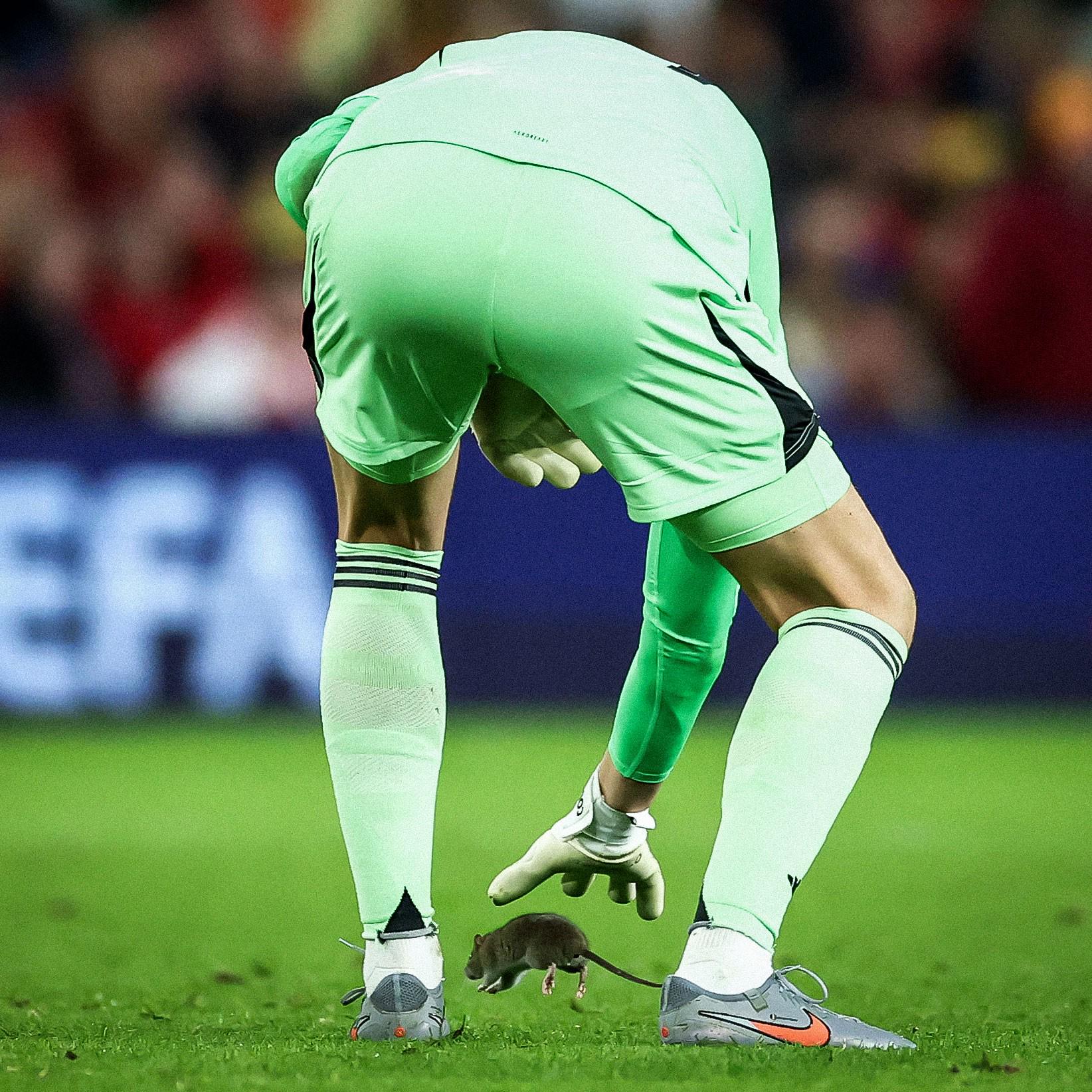 net, 尝试驱赶这